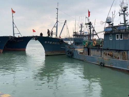 爆料渔船视频大全下载免费,免费下载渔船视频大全，尽享海洋魅力  第2张